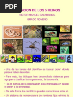 TAXONOMIA