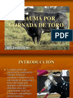 Presentación de Cornada de Toro Modificado