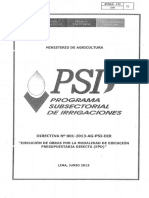 directiva_001_dir.pdf