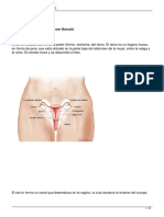 Cancer de Cervix