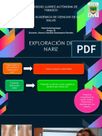 Exploración nariz