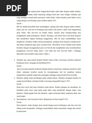 Soal Essay Tentang Sistem Pernapasan