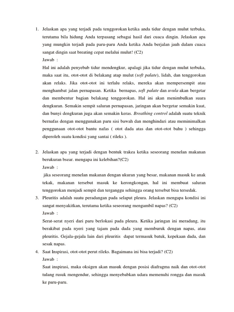 soal essay explanation text sma