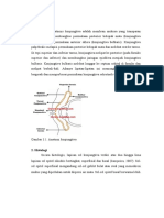 Referat Mata Syaeppudin