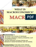 What Is Macroeconomics?