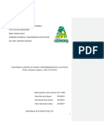 Plan Corregido de Plagas y Enfermedades - Revisar