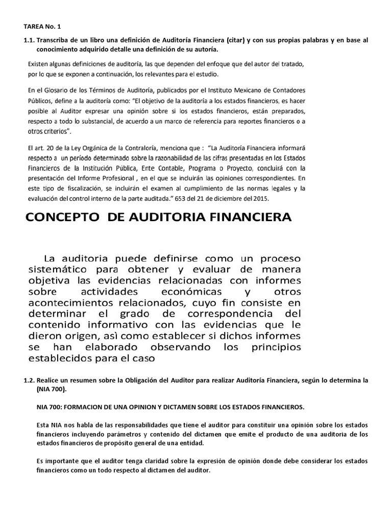 Definiciones y Normas de Auditoría Financiera | PDF | Contralor ...