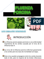 INFLUENZA PORCINA-1.pptx