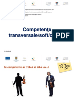 04 Competente Transversale