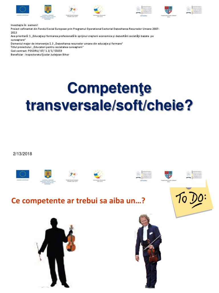04 Competente Transversale | PDF