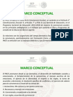 SEP PACE marco conceptual.pdf