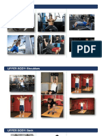 Workout U PDF