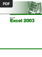 Excel 2003