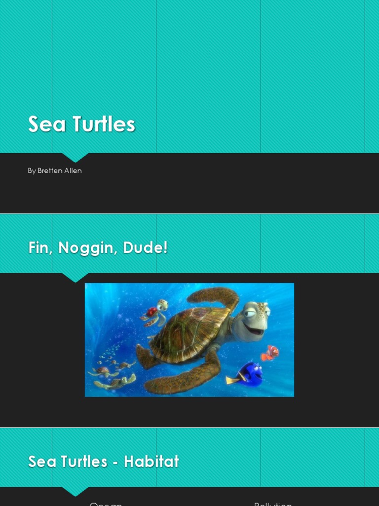 Sea Turtles | PDF | Science & Mathematics