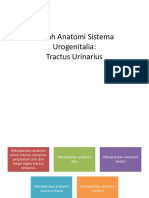 Kuliah Anatomi Sistema Urogenitalia-Sistema Urinarius PDF