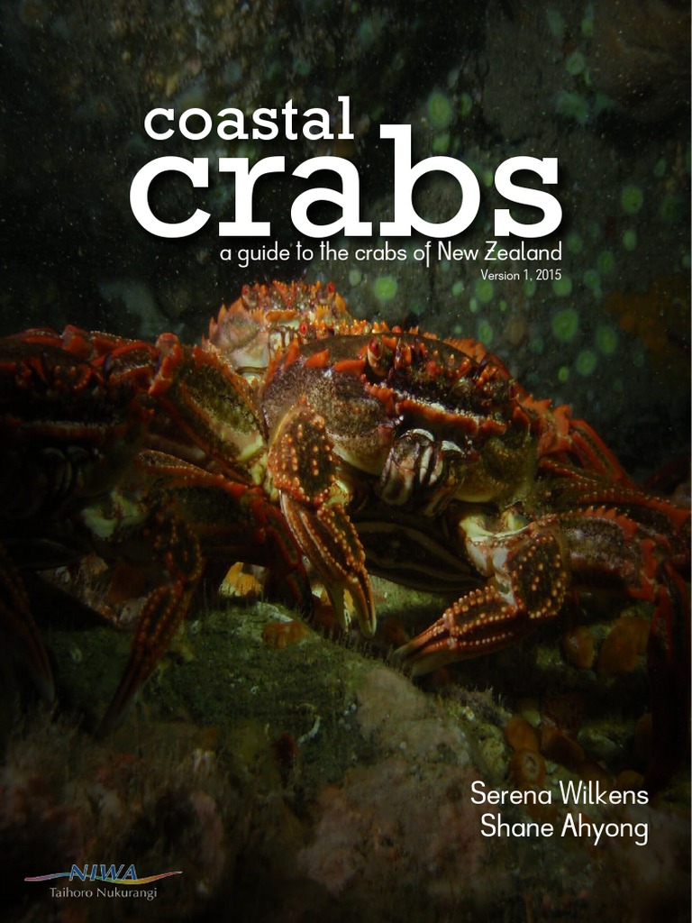 South Carolinas Crabs A Complete Guide To Every Species - 2np6jub