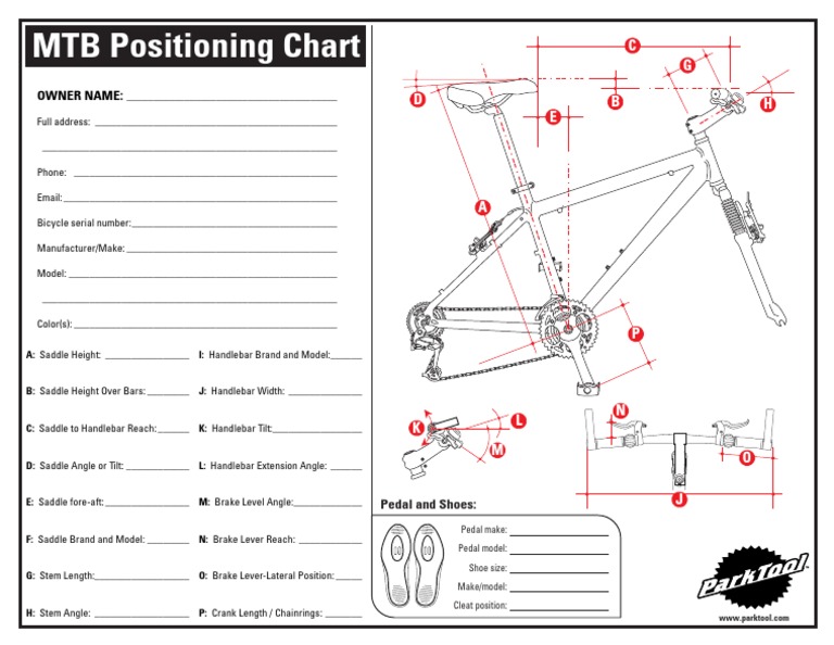 MTB Setup and Positioning Guide | PDF | Adventure Travel | Human ...
