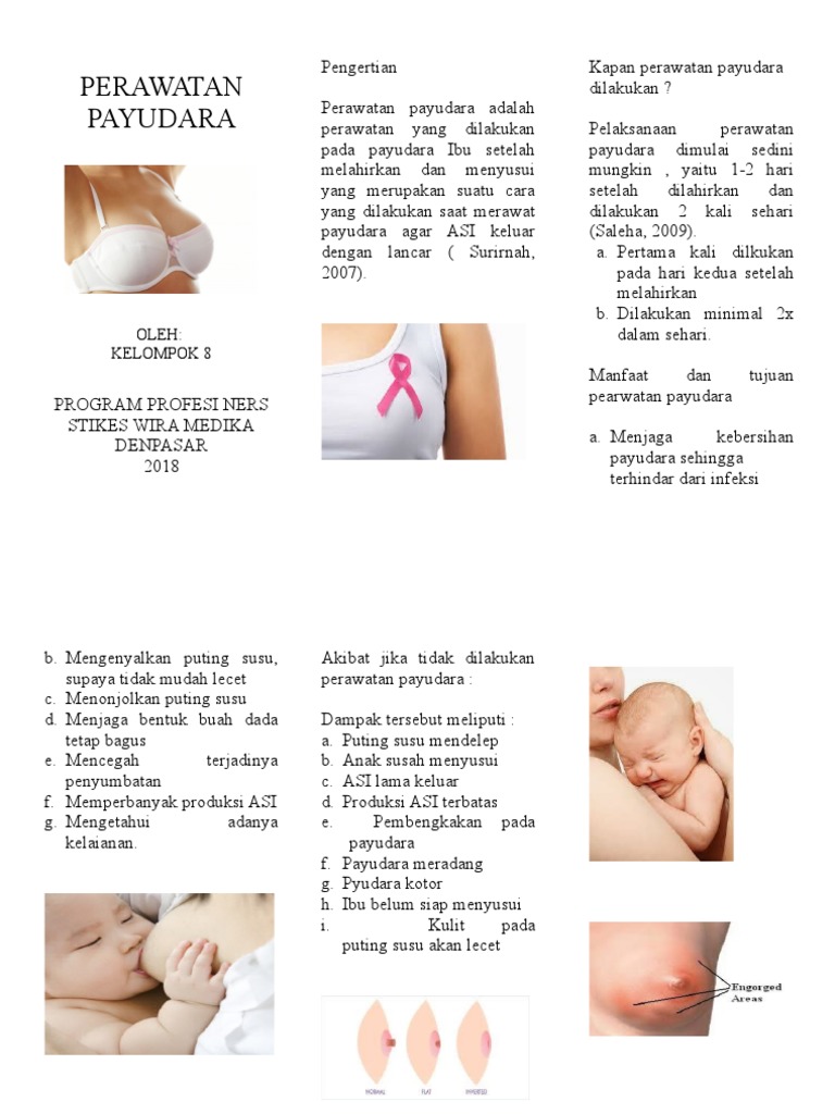 Liflet Perawatan Payudara Pdf