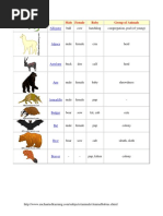 Animal Names - Adult and Juvenile