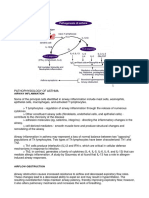 Pathophysiology of Asthma: Airway Inflammation and Obstruction