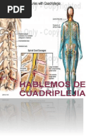 libro cuadriplijia meli.pdf