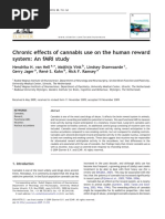 Chronic Effects of Cannabis Use On The Human Reward System: An fMRI Study