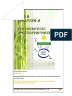 fotosintesis-revisi.pdf