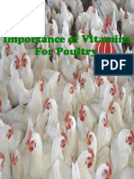 Vitamins Deficiencies in Poultry Causes