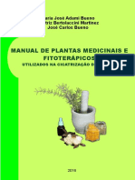 MANUAL DE PLANTAS MEDICINAIS E FITOTERÁPICOS na cicatrização.pdf