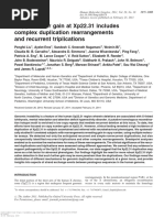 Microduplicación de xp22.31