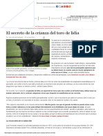 El Secreto de La Crianza Del Toro de Lidia _ Contexto Ganadero