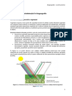 Aplicatii Ale Teledetectiei in Biogeografie PDF