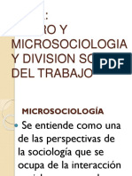 Macro y Microsociologia