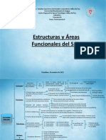 Estructuras y Áreas Funcionales Del SN PDF
