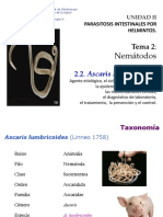 Tema 2 Helmintos Nemátodos 2 (1).2 Ascaris lumbricoides.pdf