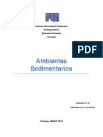 Ambientes Sedimentarios