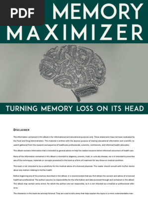 Memory Maximizer