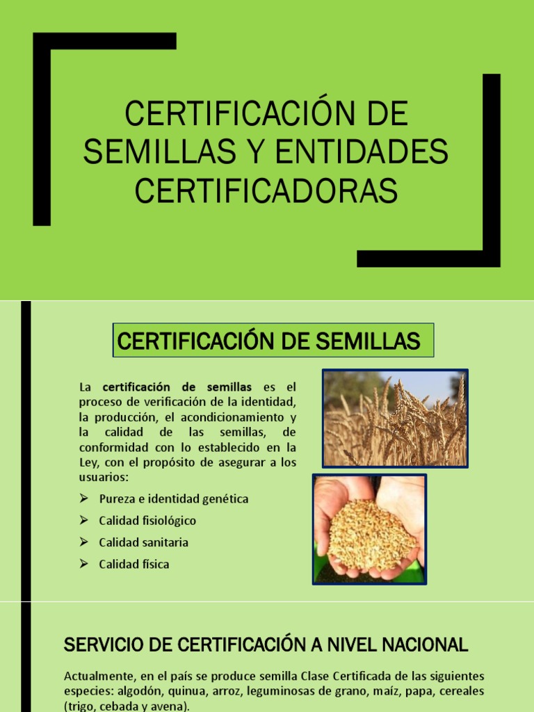 Certificacion de Semillas PDF Calidad Cereales