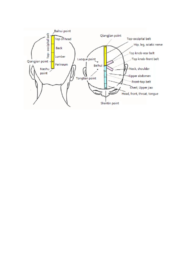 zhu-scalp-diagram-pdf