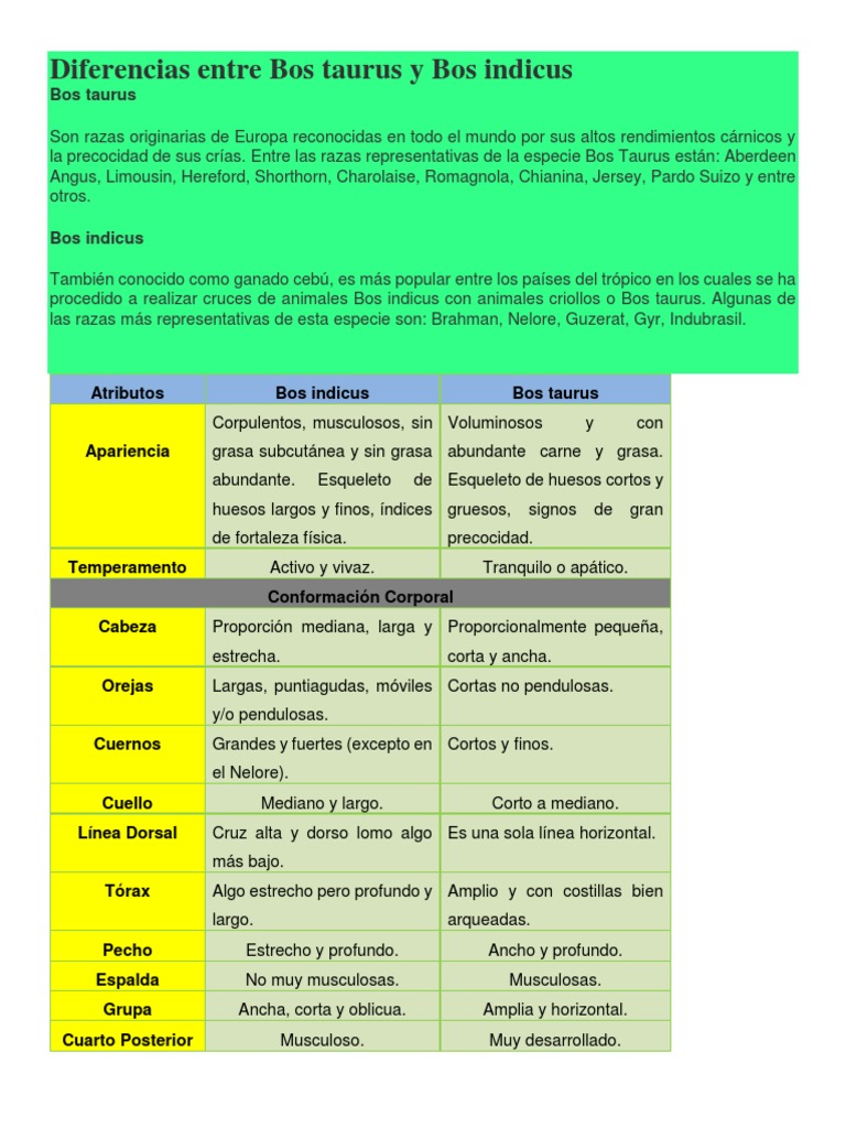 Diferencias Entre Bos Taurus y Bos Indicus | Vacas | Razas de mamíferos