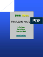 el banano tecnologia agricola.pdf