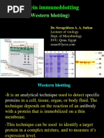 Protein Immunoblotting: (Western Blotting)