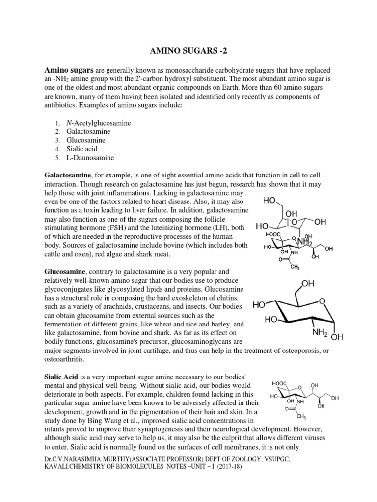 Amino Sugars Carbohydrates Wellness