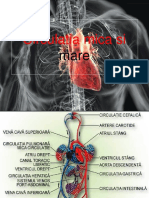 Circulatia Mica Si Mare