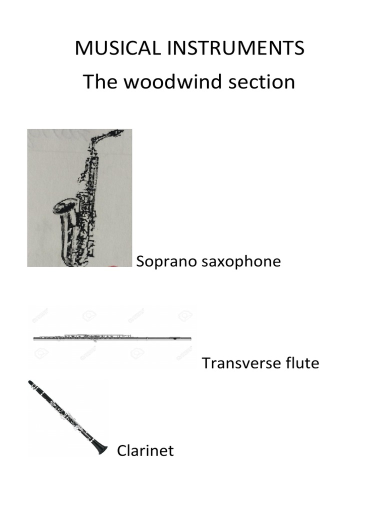 Overview of Musical Instrument Sections | PDF | Classics