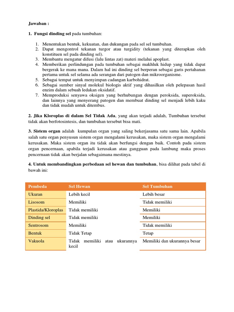 Gangguan Yang Terjadi Pada Sistem Organ Rasanya