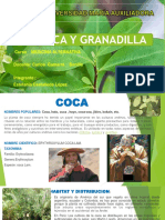 Coca y Granadilla