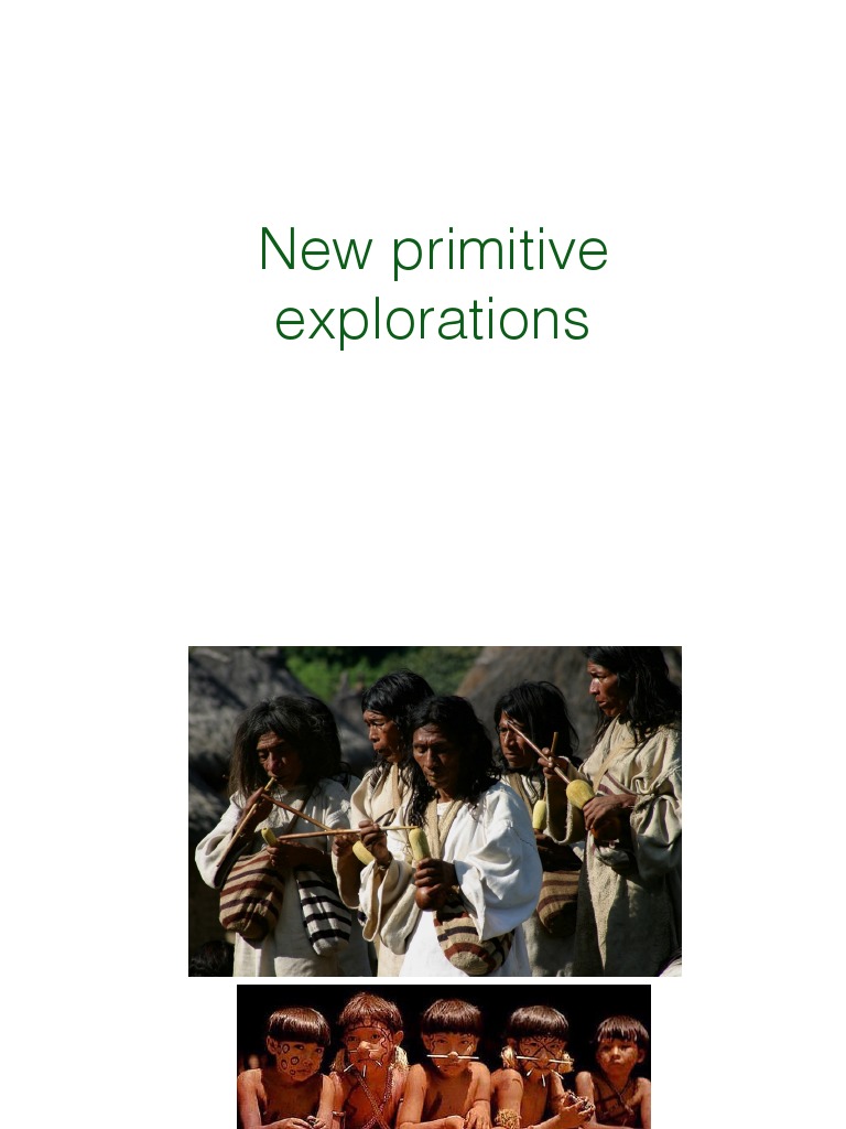 New Primitive Presentation | PDF