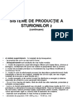 c7_2 Sisteme Producţie Sturioni 2