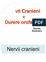 Durerea Orofaciala. Nervii Cranieni Gasnas A.